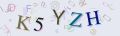 This is a captcha-picture. It is used to prevent mass-access by robots. (see: www.captcha.net)