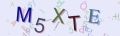 This is a captcha-picture. It is used to prevent mass-access by robots. (see: www.captcha.net)