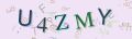 This is a captcha-picture. It is used to prevent mass-access by robots. (see: www.captcha.net)